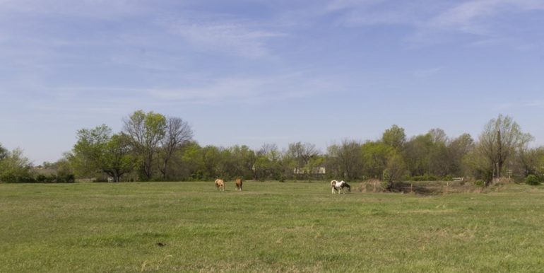 026_Pasture